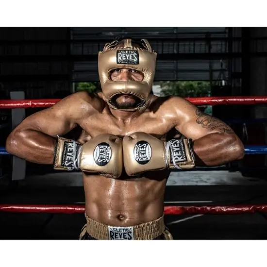 Cleto Reyes Traditional Headgear with Nylon Face Bar image {2}