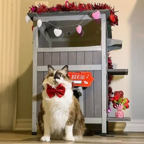 Aivituvin Two Tier Wooden Cat House| Waterproof Roof|Door Flaps-AIR14 image {2}