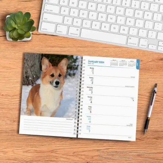 Browntrout 23-2024 Weekly/Monthly Planner 7.5"x7.125" Welsh Corgis image {3}