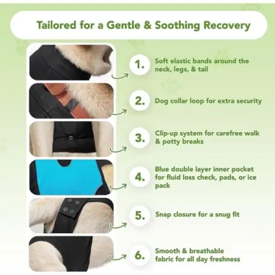 Suitical Recovery Suit for Dogs with Click Up System - Black image {2}