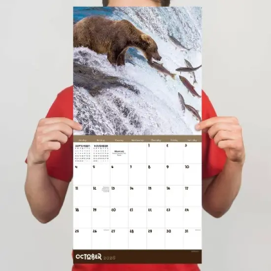 TF Publishing 13.5"x14.5" 2026 Wild Wall Calendar image {3}