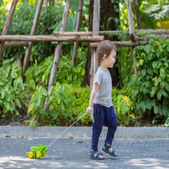 Plantoys| Dancing Alligator image {5}