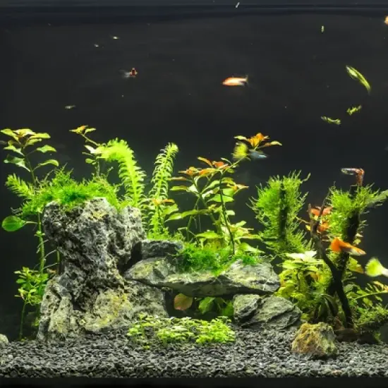 Unique Bargains Aquarium Decorations Arch Bridge Decoration Resin Fish Accessories Blue Brown Green 5.71" Length 1 Pcs image {1}