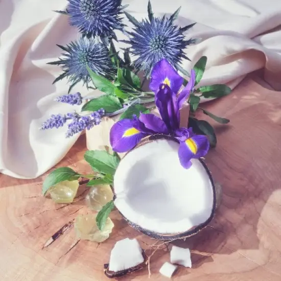 Being Frenshe Milky Moisturizing Bath Bomb Set with Essential Oils - Lavender Cloud - 6ct/3oz image {4}