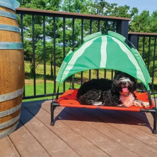 BigMouth Inc. Elevated Dog Canopy Bed - Watermelon - L image {8}