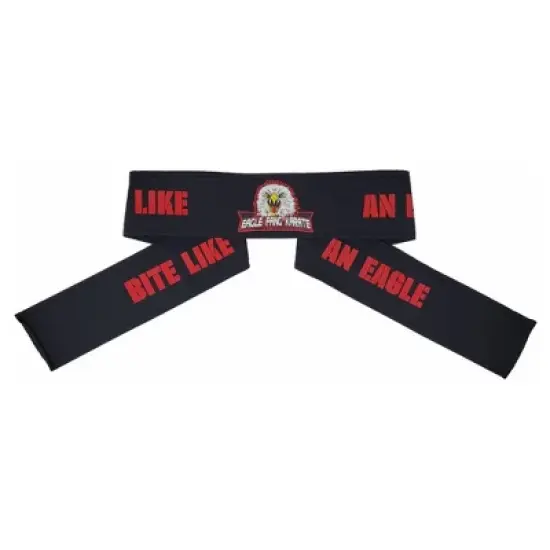 Ripple Junction x Cobra Kai Eagle Fang Karate Dojo Headband image {3}