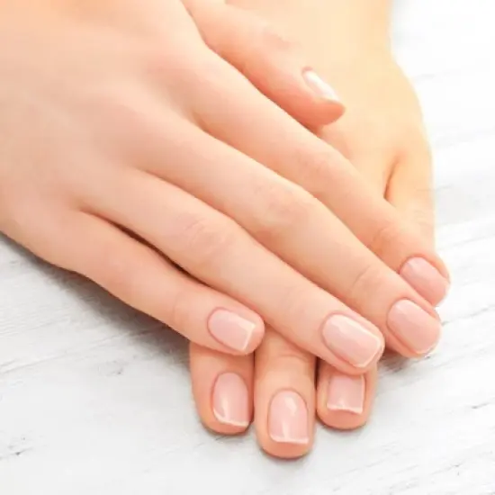 Unique Bargains Toe Nail Clippers Professional Nail Clipper Kit for Travel or Home Blue Stainless Steel image {5}