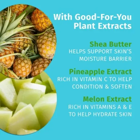 Hempz Moisturizing Body Lotion - Sweet Pineapple & Honey Melon - 17 fl oz image {3}