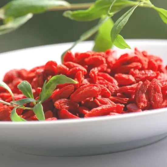 2.5qt Gogi Berry Plant with White Blooms - National Plant Network image {4}