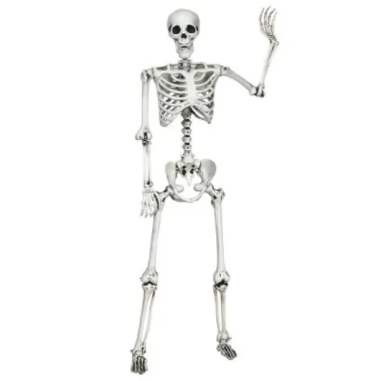 Costway Halloween Skeleton Life Size Realistic Full Body Hanging with Movable Joints image {1}