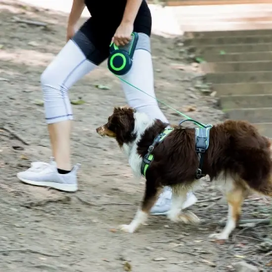 Mighty Paw Retractable Dog Leash | 16ft for Dogs 0-50 or 50-100 lbs image {3}