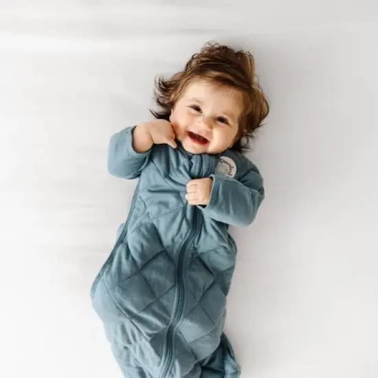 Dreamland Baby Dream Weighted Transition Swaddle image {1}