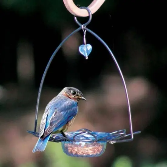 Birds Choice Bluebird Flower Bird Feeder Small - Blue: Weather-Resistant, No Assembly, Mealworm Feeder image {5}