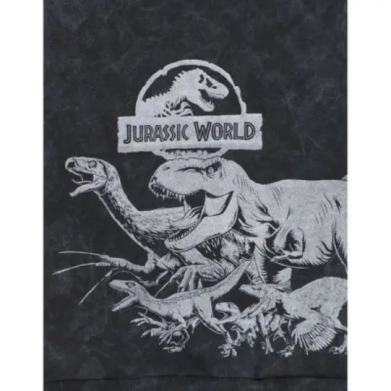 Jurassic World Park Blue T-Rex Fleece Pullover Hoodie Toddler to Big Kid image {2}