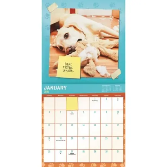 Trends International 2026 Guilty Dog 12"x12" Wall Calendar image {1}