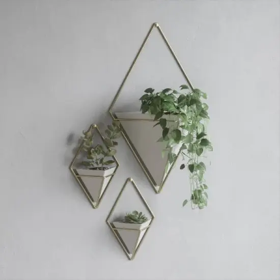 Trigg Wall Display Planter White/Brass - Umbra image {10}