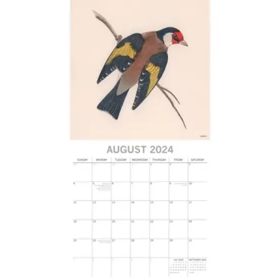 The Gifted Stationery 2024 Square Wall Calendar, Garden Birds (Illustrated), 16-Month Bird Theme with 180 Reminder Stickers (12 x 12 In) image {2}