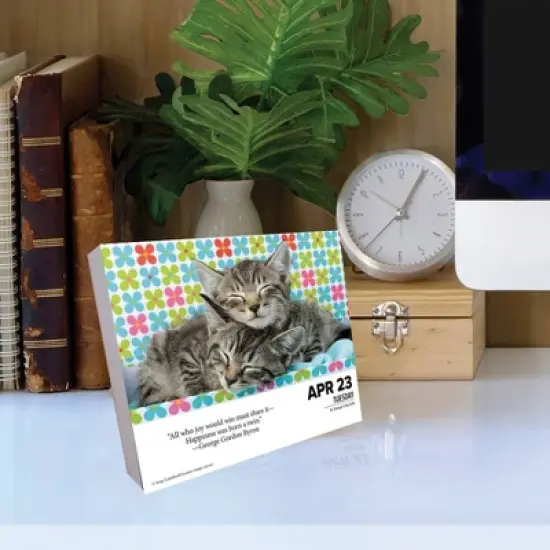 Willow Creek Press 2024 Daily Desk Calendar 5.2"x6.2" What Cats Teach Us image {3}