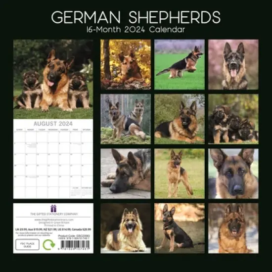 The Gifted Stationery 2024 Square Wall Calendar, German Shepherds, 16-Month Paw Prints Theme with 180 Reminder Stickers (12 x 12 In) image {3}
