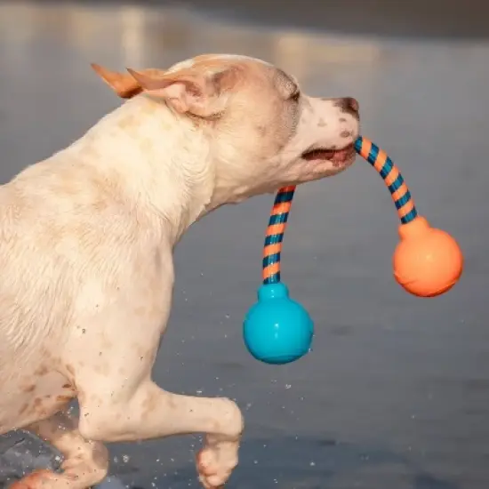 GURU 17.5" Squeaking Dog Rope Toy image {7}