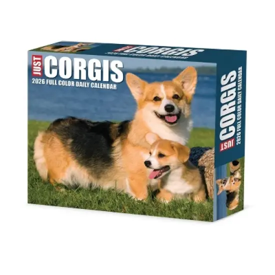 Willow Creek Press 5.5"x6.5" 2026 Corgis Box Calendar image {6}