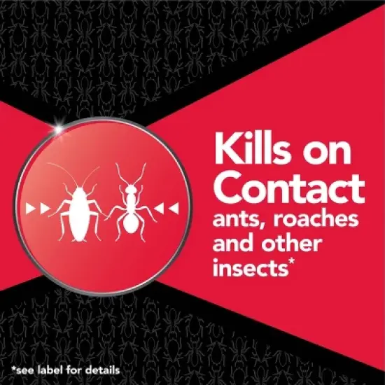 Raid Max Ant and Roach Killer Bug Spray - 14.5oz image {1}