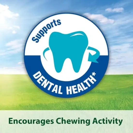 Kaytee Fiesta Pet Hamster and Gerbil Food, 4.5lb Bag image {2}