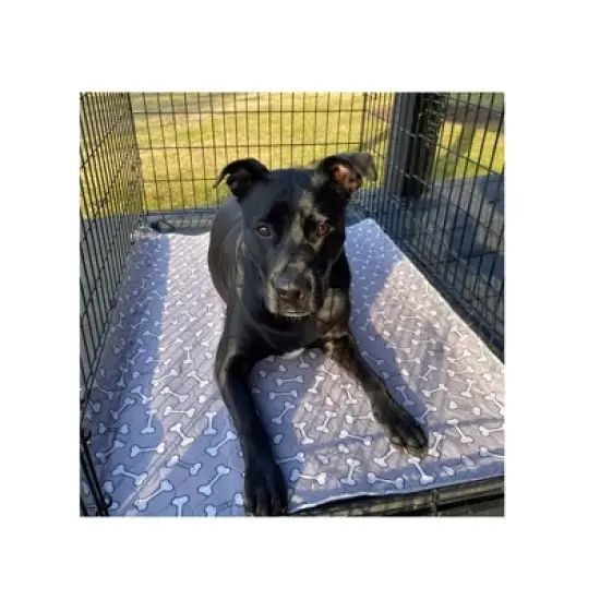 rocket & rex Bone Print Washable Reusable Pee Pads for Dogs - L - Gray - 2ct image {6}