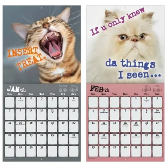 Trends International Inc. 2023-24 Wall Calendar 12"x12" Snarcatstic image {5}
