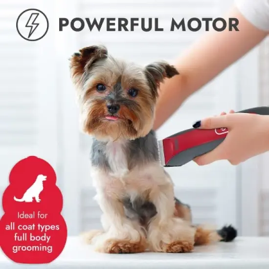 KONG 3-Speed 10' Cord with LED Spotlight, Blade and Combs Dog Hair Clipper Kit - 11pc image {1}