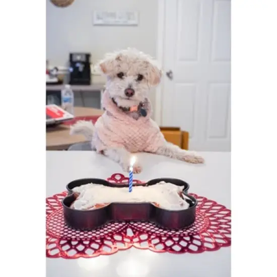 Midlee Nonstick Bone Shape Pan (Cake) image {5}