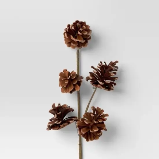 4pc Christmas Pick Set 2 Iced Pinecone 2 Red Berry with Pinecones - Wondershop&trade; image {2}