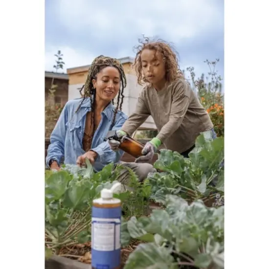 Dr. Bronner's 18-In-1 Hemp Pure-Castile Liquid Soap - Peppermint - 32 fl oz image {3}