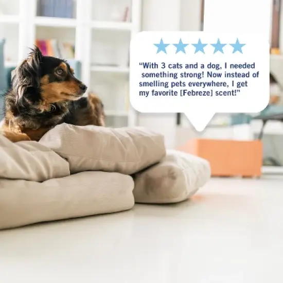 Febreze Plug Dual Air Freshener Refill - Baked Cinnamon Apples - 0.87 fl oz/2ct image {5}