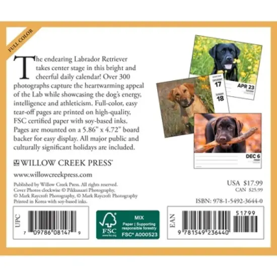 Willow Creek Press 2024 Daily Desk Calendar 5.2"x6.2" Labs image {1}
