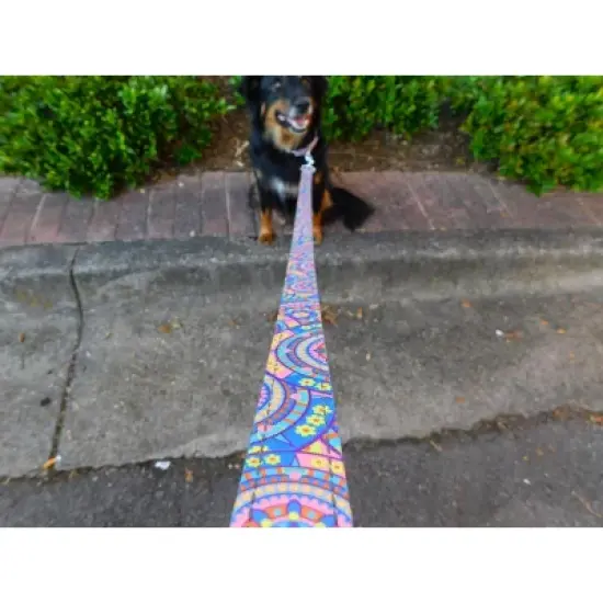 Country Brook Petz Deluxe Reflective Dog Leash 6 foot length image {1}