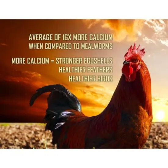 Armstrong Wild Bird Food Mealworm Alternative Bird Grubs image {5}