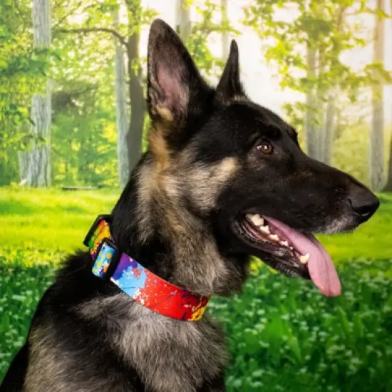 Country Brook Petz 1 1/2 Inch Deluxe Paint Splatter Dog Collar image {1}