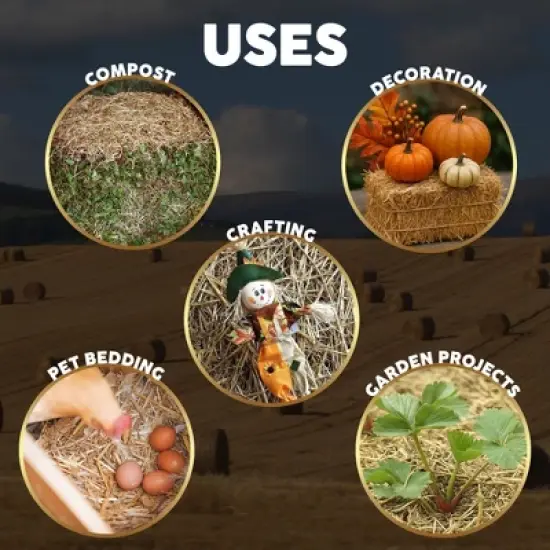 Firewood Central Mini Straw Bale by Morning View Acres &ndash; Natural Wheat Straw for Gardening, Pet Bedding, Seeding & Decor (12"x4"x6", 2lb) image {1}