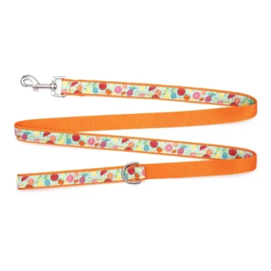 The Worthy Dog Tutti Frutti Pet Leash image {3}