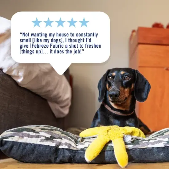 Febreze Fabric Refresher with Gain Original Scent - 2.8 fl oz image {7}