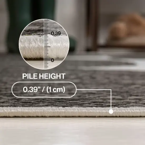 JONATHAN Y Rayna Modern Geometric Organic Shapes Indoor/Outdoor Area Rug image {5}