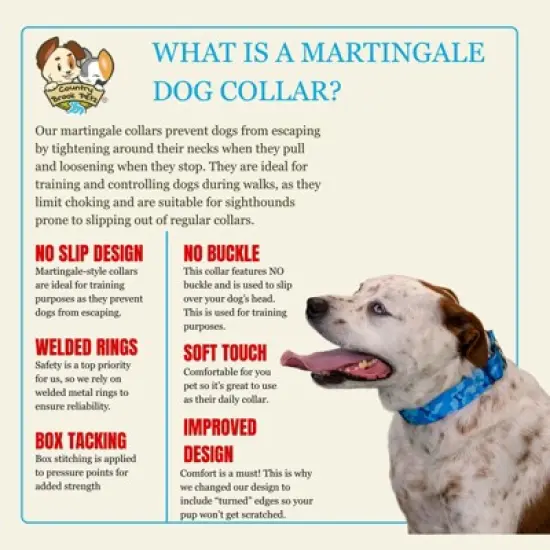 Country Brook Petz HossFit Jr Wide Martingale Dog Collar - Camouflage Collection image {5}