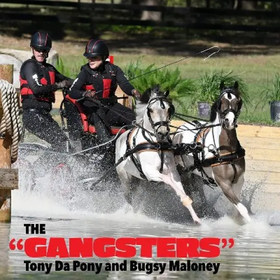 Breyer Traditional The Gangsters 1:9 Scale Model Horse Set image {3}