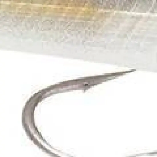 Rapala 4" X-Rap 10 Saltwater Fishing Lure image {2}