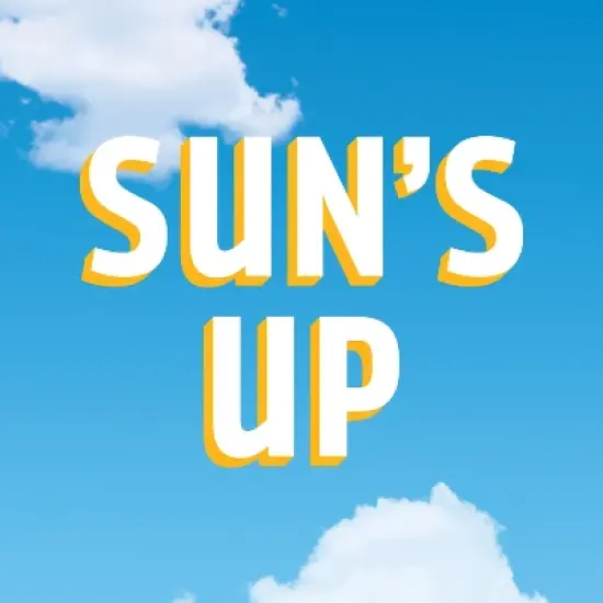 High Noon Vodka Hard Seltzer Mixed Pack - 12pk/355ml Cans image {8}