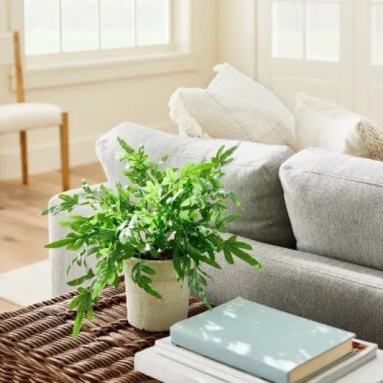 Medium Ribbon Fern Leaf in Pot - Threshold&trade; designed with Studio McGee image {1}