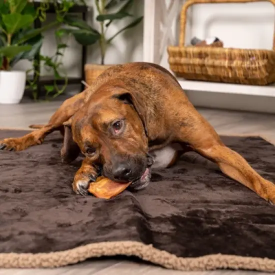 Pet Factory Real Chewz Premium Pig Ears - 7 Count image {3}