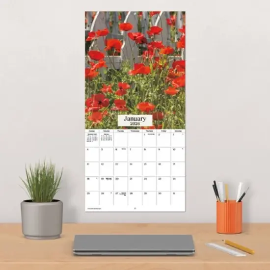 Trends International 2026 Texas Wildflowers 12"x12" Wall Calendar image {4}