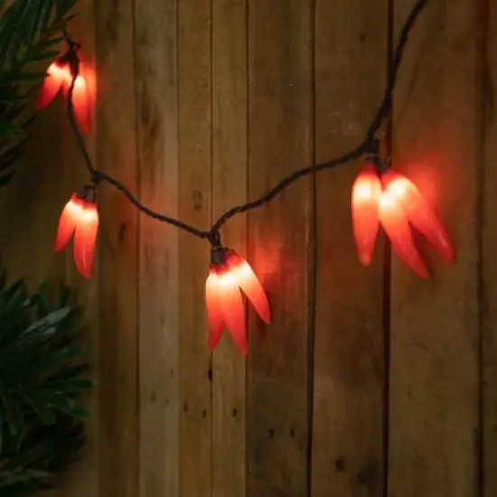Northlight 36ct Chili Pepper Clustered String Lights Red - Brown Wire image {3}
